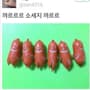 회원 꼬물꼬물잉의 프로필